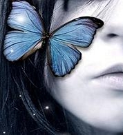 bluebutterflywg7.jpg